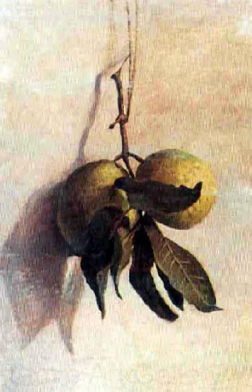 Benedito Calixto Guava Norge oil painting art